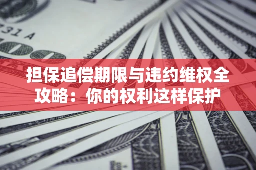 济南担保追偿期限与违约维权全攻略：你的权利这样保护