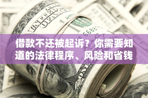济南借款不还被起诉？你需要知道的法律程序、风险和省钱技巧